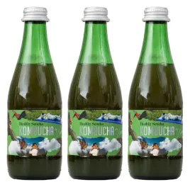 kombucha-bio-healthy-sencha-vegan-by-laurent-3-330-ml