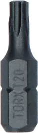 bit-grot-koncowka-t20-25mm-exh-25pcs