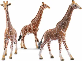 schleich-14749-samiec-zyrafy
