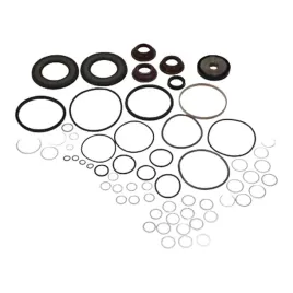 komplet-naprawczy-cylindra-polbiegow-zf-ecosplit-1315298003-115999-1329625