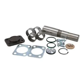 komplet-naprawczy-zwrotnicy-iveco-eurotech-pe-automotive-021-009-00a