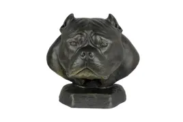 american-bully-i-urna-z-zywicy-art-dog