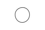 o-ring-case-ih-waga-z-opakowaniem-0-004-kg