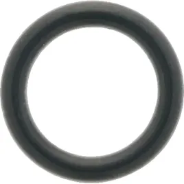 carraro-oring-115-5-615-11-91x2-62