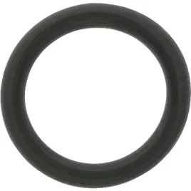 carraro-oring-2037-9-25x1-78-vit