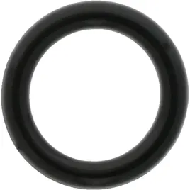 carraro-oring-2031-2-011-7-66x1