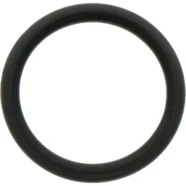 carraro-oring-4100-24-99x3-53