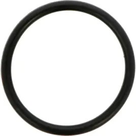 dana-spicer-o-ring