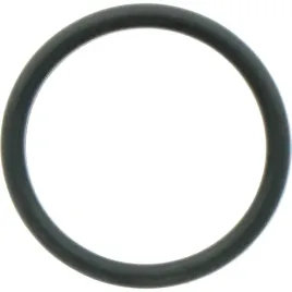 dana-spicer-o-ring