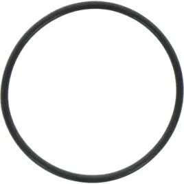 dana-spicer-o-ring