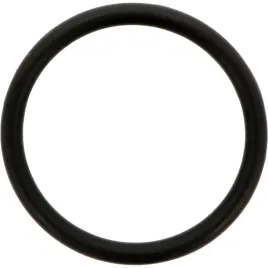 dana-spicer-o-ring