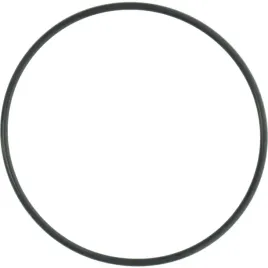 dana-spicer-o-ring