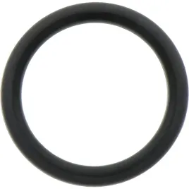 dana-spicer-o-ring