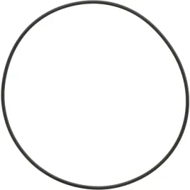 dana-spicer-o-ring