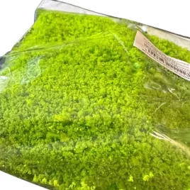 posypka-do-makiet-tworzenia-drzew-mchu-zielona-30g-liscie-zielen-na-makiete