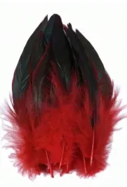 shein-czerwone-piora-dekoracyjne-s07-15-20cm