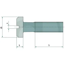 granit-sruba-z-lbem-plaskim-m5x50-din-85