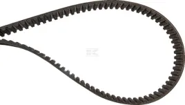 pas-zebaty-8m-160-zebow-1280x