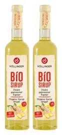 syrop-imbirowo-cytrynowy-bio-vegan-hollinger-2-x-500-ml