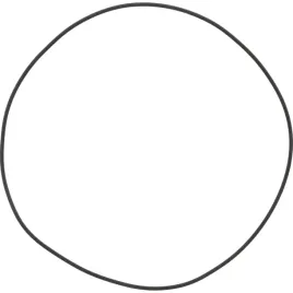 zf-oring-634-304-012-0634-304-012