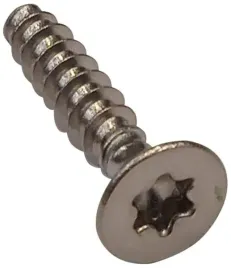 sruba-torx-4x20