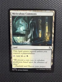 karta-magic-the-gathering-meticulous-commons-fra-184
