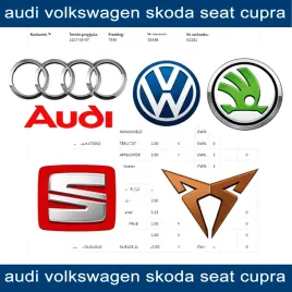 audi-volkswagen-vw-skoda-seat-cupra-vin-historia-serwisowa-raport-aso-pdf