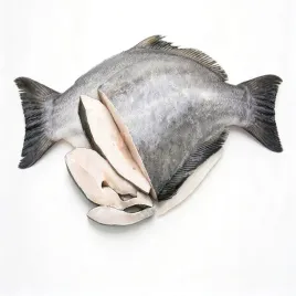 halibut-swiezy-dzwonko-biale-mieso-ryba-morska-swieza-tusza-premium-1kg