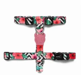 szelki-dla-psa-zee-dog-mahalo-h-harness-3-stopniowa-regulacja-rozmiar-l