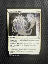 karta-magic-the-gathering-lingering-souls-frc-27