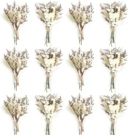 larber-12-szt-mini-suszonych-kwiatow-z-lodyga-do-diy-i-zdjec