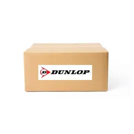 amortyzator-pneumatyczny-audi-vw-porsche-dunlop-das10014