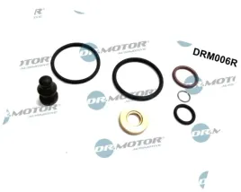 zestaw-naprawczy-pompowtryskiwacz-bosch-dr-motor-drm006r