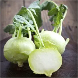kalarepa-wiedenska-biala-moc-witamin-superfood-bardzo-wczesna-nasiona-2-g