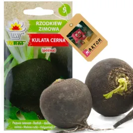 rzodkiew-czarna-kulata-zimowa-cerna-5g-nasiona-rzodkwi-zimowej-bialy-miazsz