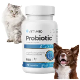 probiotyk-dla-psa-i-kota-prebiotyk-vetamed-probiotic-30-kapsulek