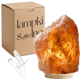 lampa-solna-klodawska-4-6-kg-z-soli-klodawskiej-na-bukowej-podstawce