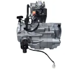 silnik-do-atv-bashan-bs250s-5-waga-z-opakowaniem-1-kg