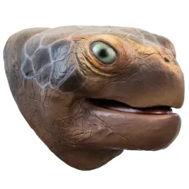 wild-thingz-hand-puppet-sea-turtle