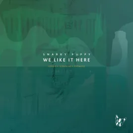 we-like-it-here-remixed-remastered-reimagined-vinyl