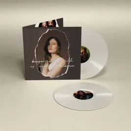 besser-kann-ich-es-nicht-erklaren-vinyl