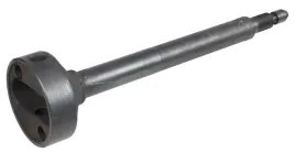 trzpien-stopy-ubijajacej-cedrus-stopa-st01