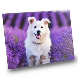 fotoobraz-z-twojego-zdjecia-foto-obraz-na-plotnie-30x40-40x30-cm-dekoracja-do-salonu-i-sypialni-personalizowany-wydruk-drewniana-rama