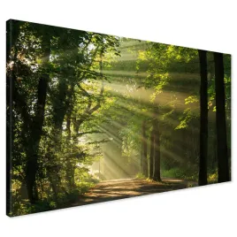 obraz-na-plotnie-120x80-las-drzewa-nowoczesny-xxl-canvas-do-salonu-duzy-dekoracja-scienna-sypialnia-kuchnia-druk-cyfrowy-format-poziomy