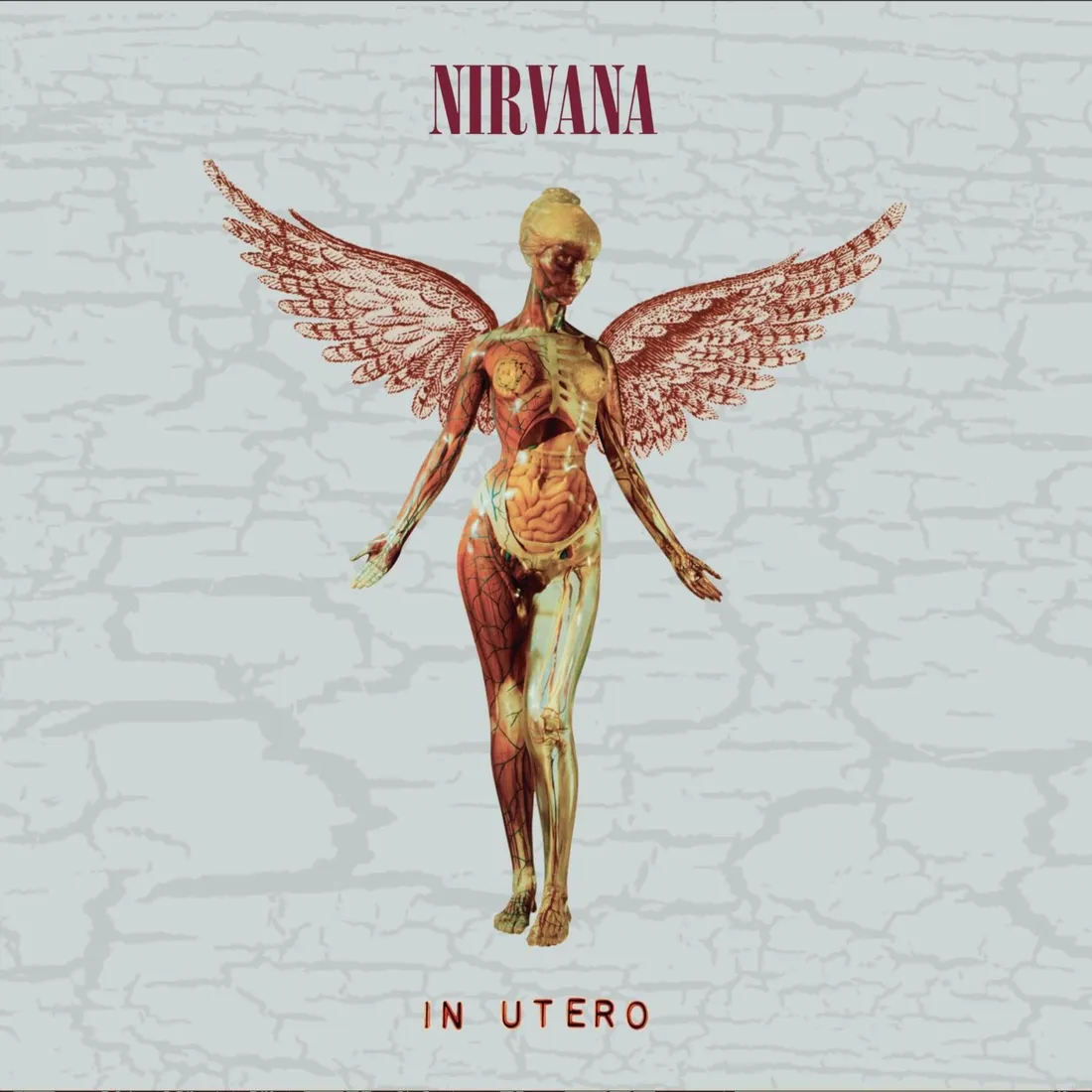 in-utero