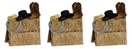 a-beistle-creation-s57350az3-beistle-western-centerpieces-paper
