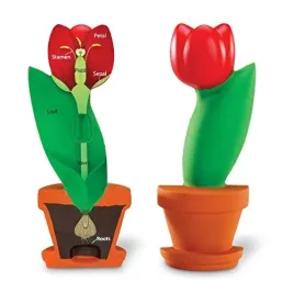 learning-resources-soft-foam-cross-section-flower-model
