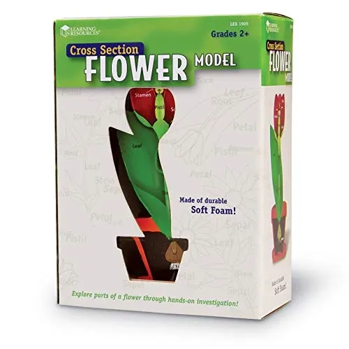 learning-resources-soft-foam-cross-section-flower-model