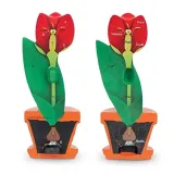 learning-resources-soft-foam-cross-section-flower-model-material-inny
