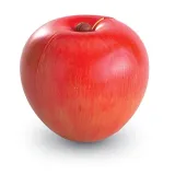 learning-resources-apple-fractions-material-inny